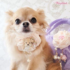 Hello Teddy Dog Necklace by Wooflink